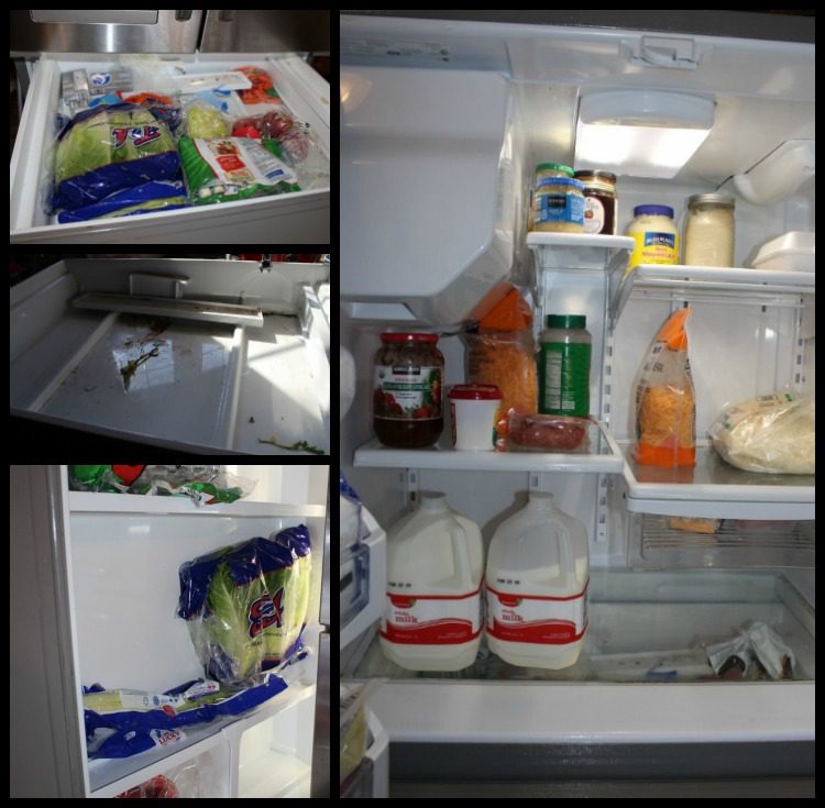 Middle Drawer and AFTER frig at ASlobComesClean.com